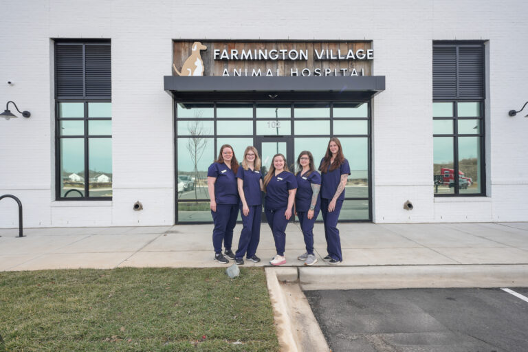 Farmington Village Animal Hospital's medical team outside of the new building.