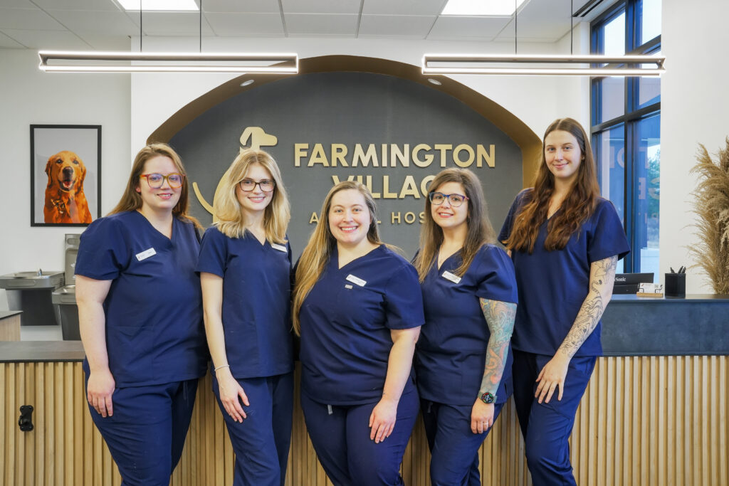 Doctor, technician, and medical team of Farmington Village Animal Hospital