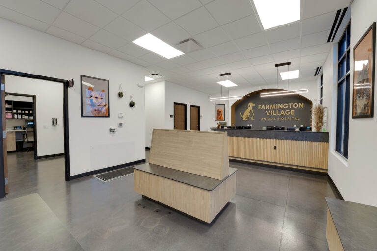 13_3310_Dutch_Crk_Dr_102_Charlotte_NC_28215-Foyer-FX208761