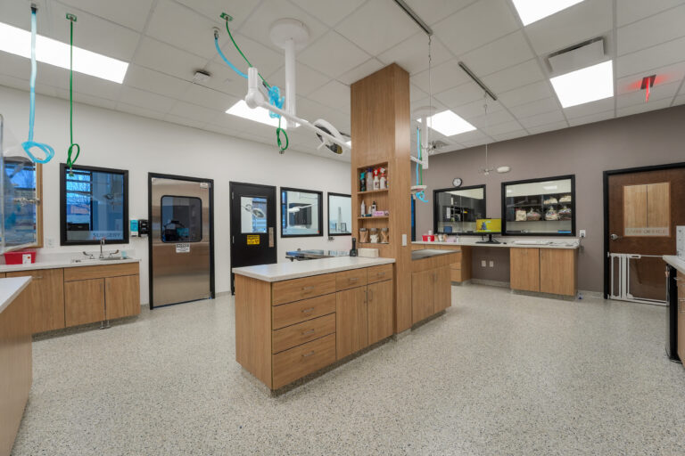 Brand new treatment and in house laboratory at Farmington Village Animal Hospital
