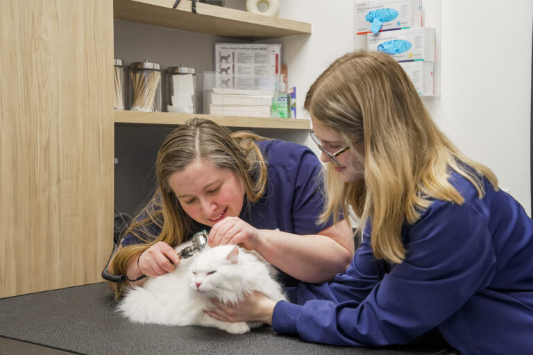 27_3310_Dutch_Crk_Dr_102_Charlotte_NC_28215-Others-FX208741