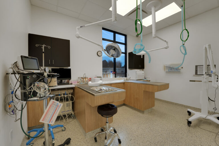 State of the art dental cleaning suite at Farmington Village Animal Hospital
