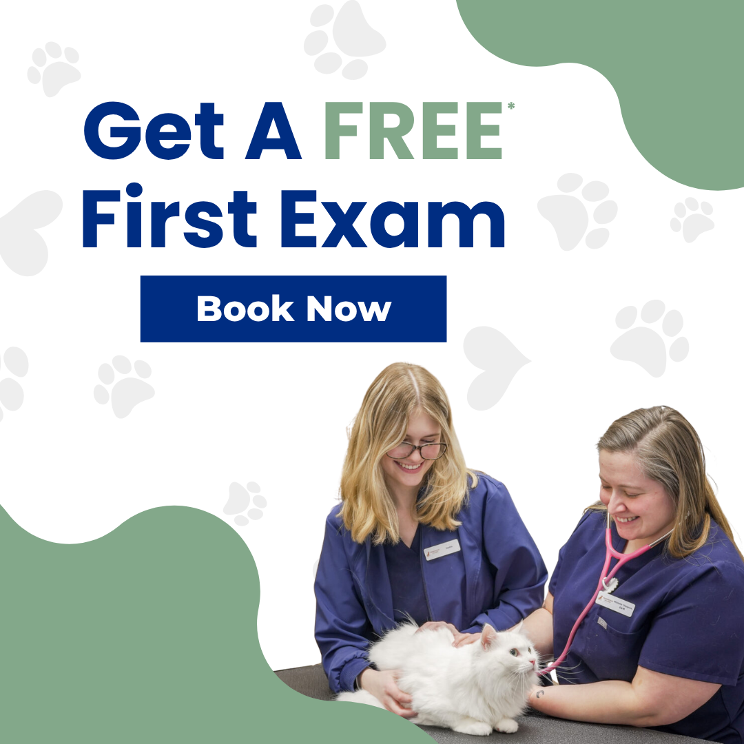Farmington Village Animal Hospital